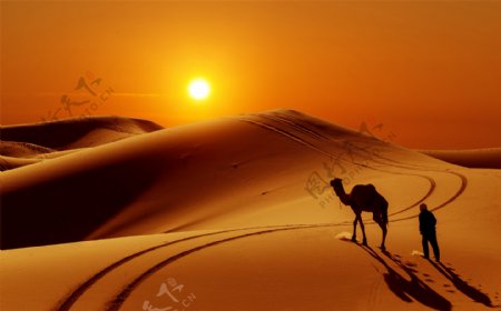 黄昏沙漠中的骆驼与游人