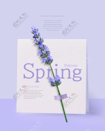 唯美紫色春天气息海报模板设计