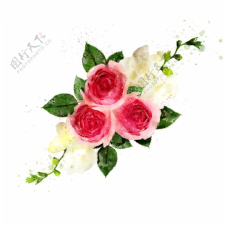 手绘花卉玫瑰红色植物水彩元素