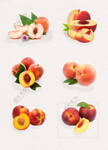 新鲜桃子透明水果素材
