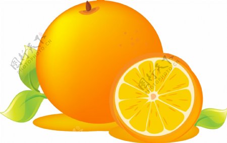 矢量黄色橙子元素