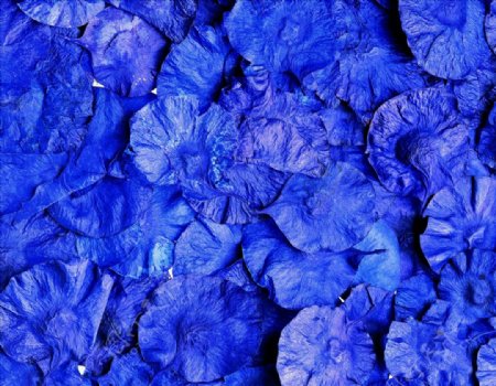 自然材质蓝色花瓣