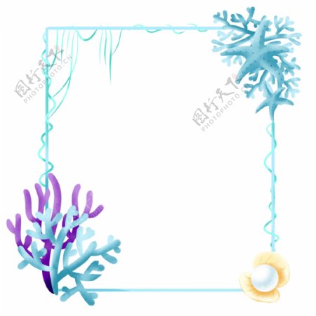 商用手绘插画植物边框珊瑚海星小清新素材