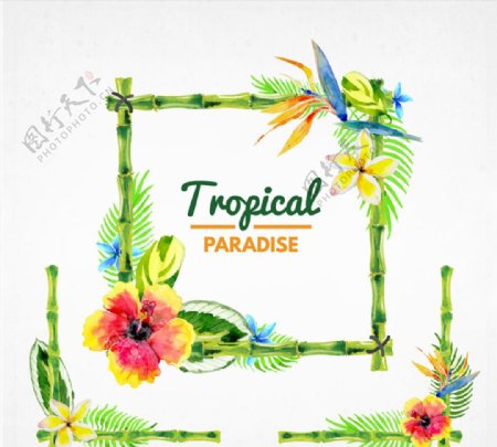 3款水彩绘热带花卉边框矢量图图