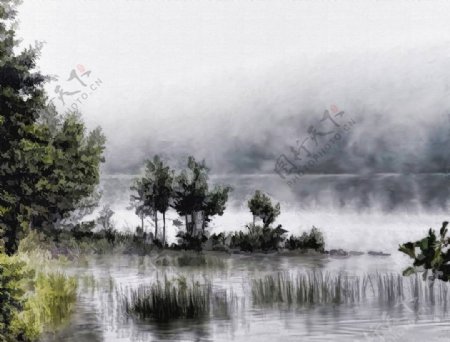 雾气湖畔树丛风光绘画