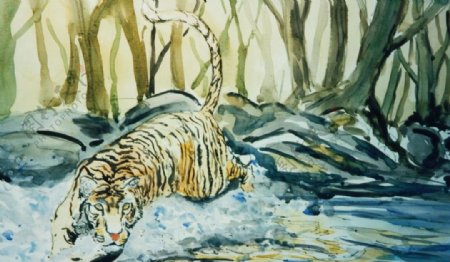 林中猛兽老虎绘画