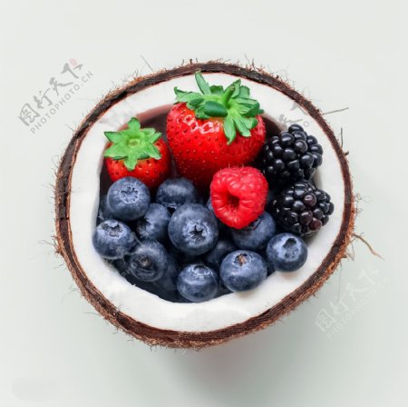水果桑葚草莓蓝莓椰子