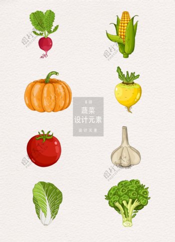 8款蔬菜插画手绘设计元素
