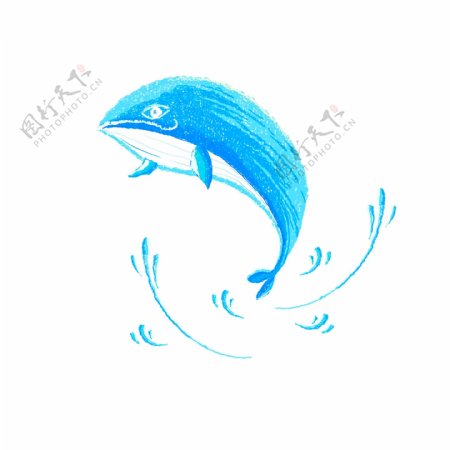 蓝色清新鲨鱼和水花线圈插画元素