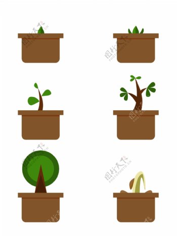 清新可爱植物生长过程图