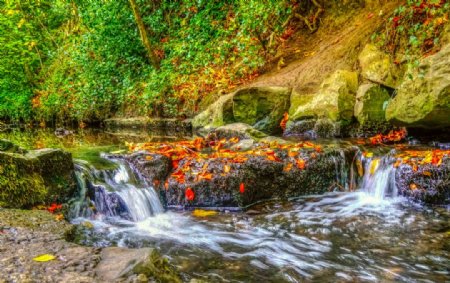 爱尔兰秋季公园瀑布