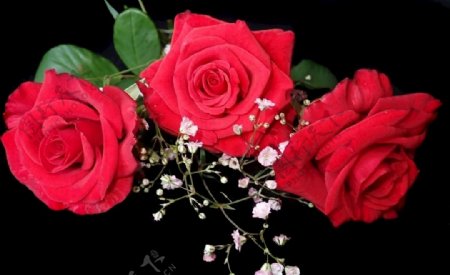 浪漫玫瑰胸花