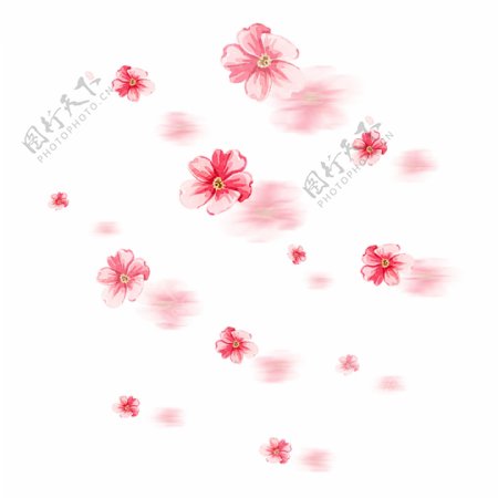 小清新手绘花水彩漂浮花瓣可商用