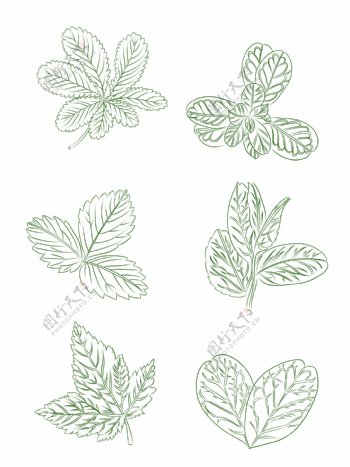 手绘植物素材手绘绿叶
