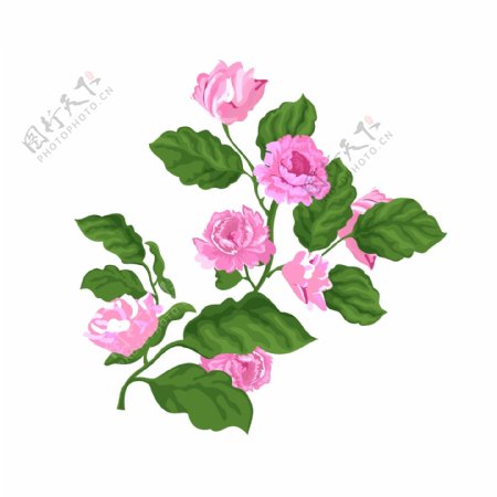 手绘水彩情人节粉红色玫瑰花花卉