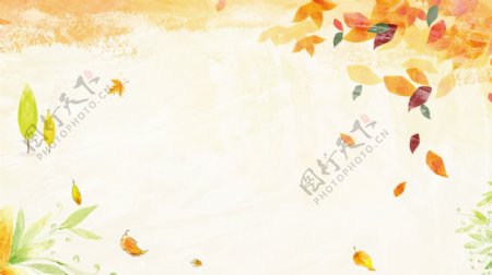 水彩枫叶广告背景