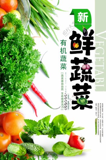 绿色新鲜蔬菜海报.psd