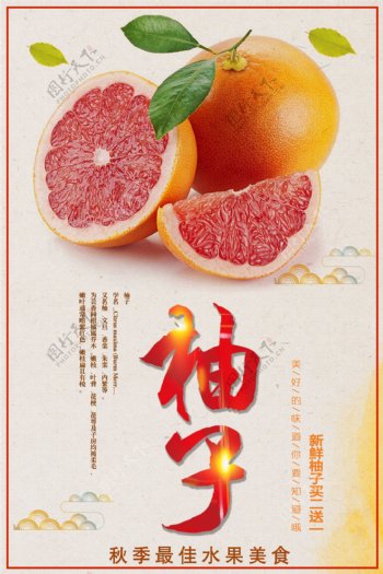 白色背景中国风简约大气柚子宣传海报