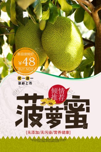 清新热带水果菠萝蜜促销宣传海报设计.psd