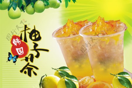 柚子茶饮品海报