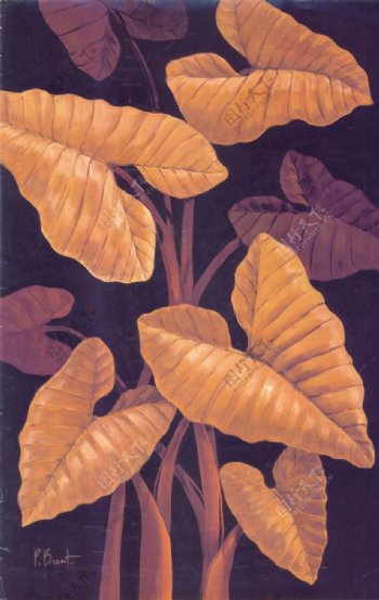复古美式植物树叶装饰画