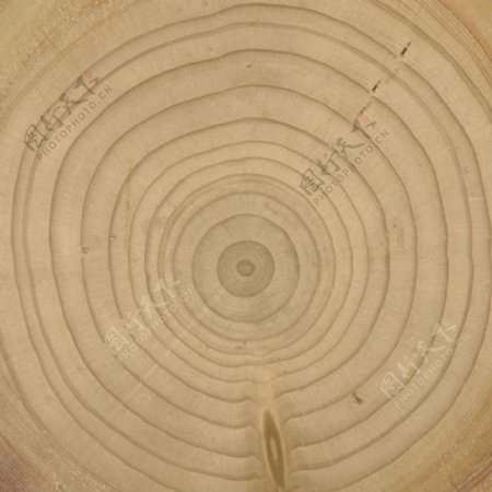 常用的简约木头木材纹理材质贴图