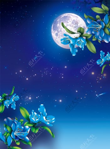 明月夜色繁星花朵背景