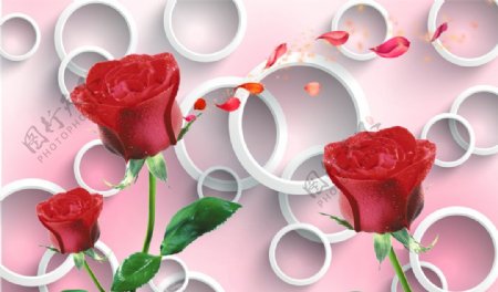 3D圆圈玫瑰