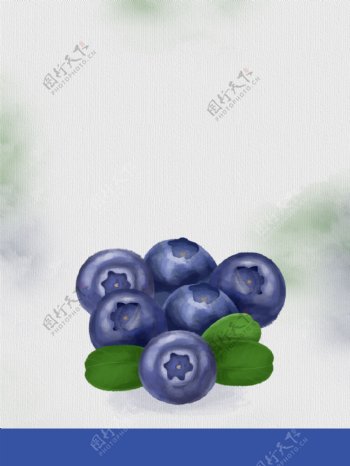 白色蓝莓促销插画背景