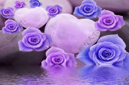 紫色玫瑰心形石头
