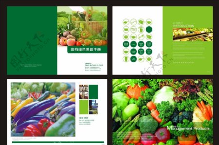 果蔬画册设计