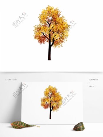 清新水彩秋季树木卡通透明素材
