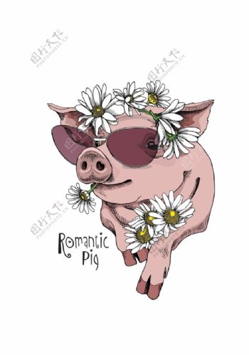 卡通图案卡通动物猪文字图