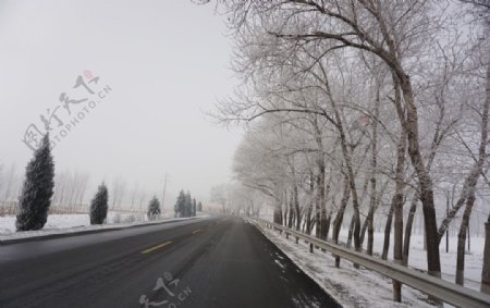 冬天公路雾淞