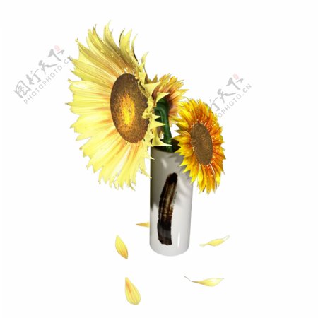 植物类通用元素花瓶插花向日葵PSD