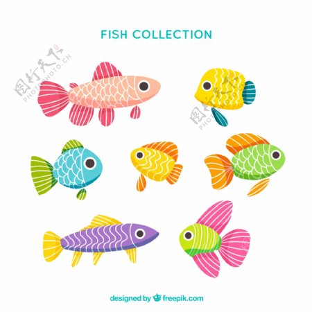 7款彩色花纹鱼类设计矢量图