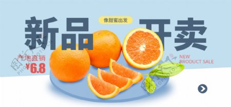 水果橙子橘子banner的副本