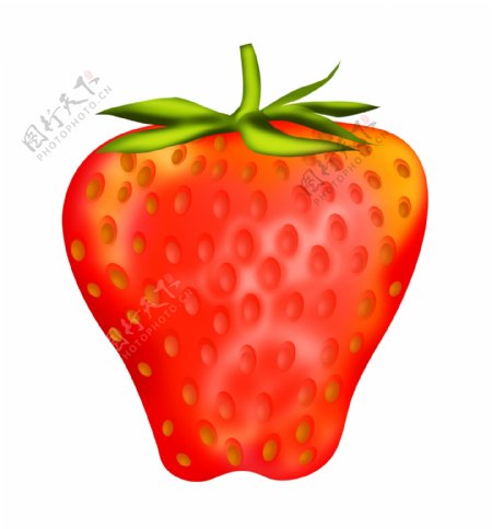 漂亮的草莓手绘插画