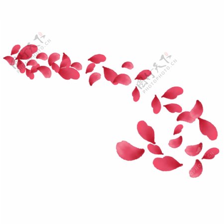 红色的漂浮花瓣插画
