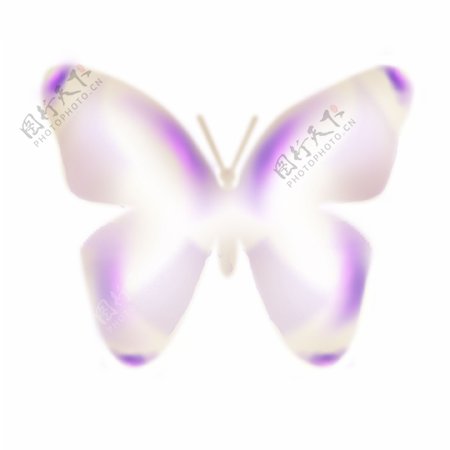 卡通紫色透明的蝴蝶装饰图案免抠图