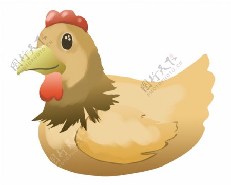 家禽母鸡手绘插画