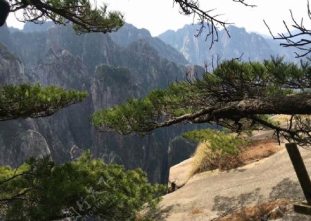 黄山风景