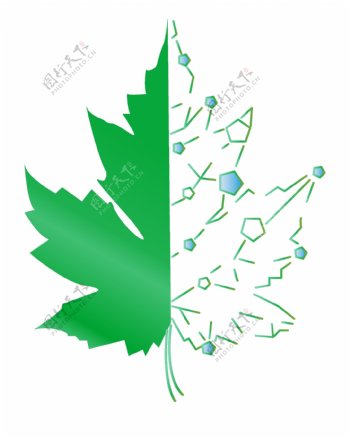 绿色树叶化学插画