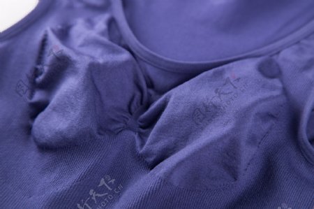 紫蓝色女士内裤实物图摄影图3