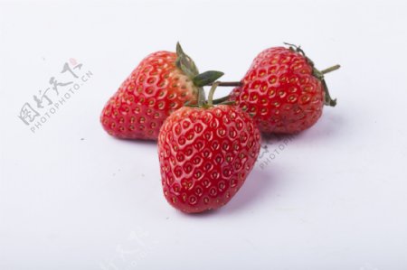 新鲜可口草莓实物图摄影图3