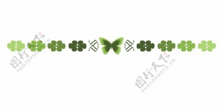 绿色蝴蝶分割线插画