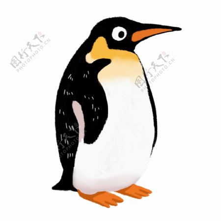 卡通动漫手绘动物企鹅