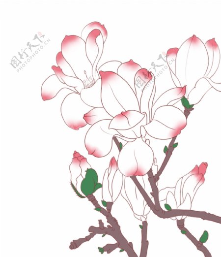 粉色手绘花叶子花朵插画树枝花朵