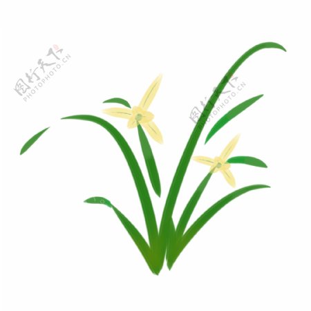 水彩植物黄色兰花装饰图案