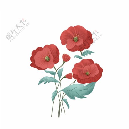 手绘植物花朵叶子红色插画风元素